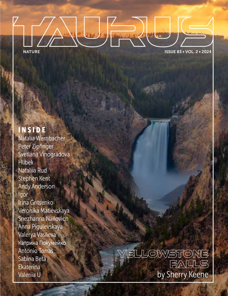 Taurus Nature Issue 83 front cover, Yellowstone Falls by Sherry Keene