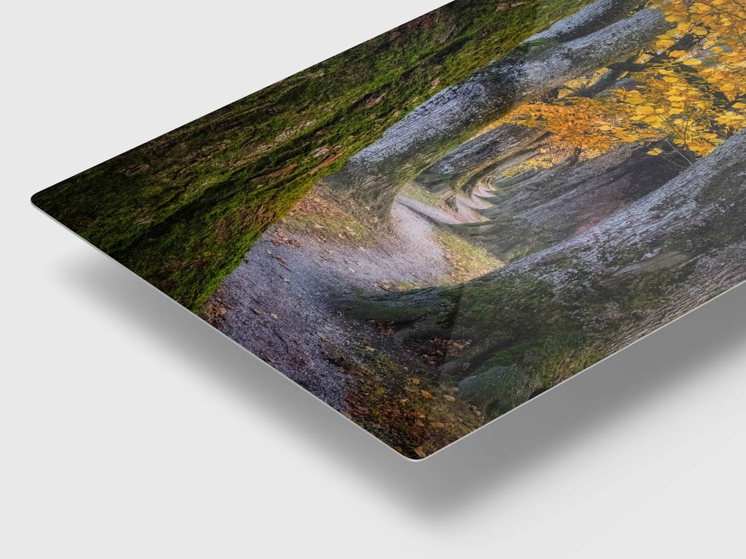 HD Sublimated Metal presentation detail