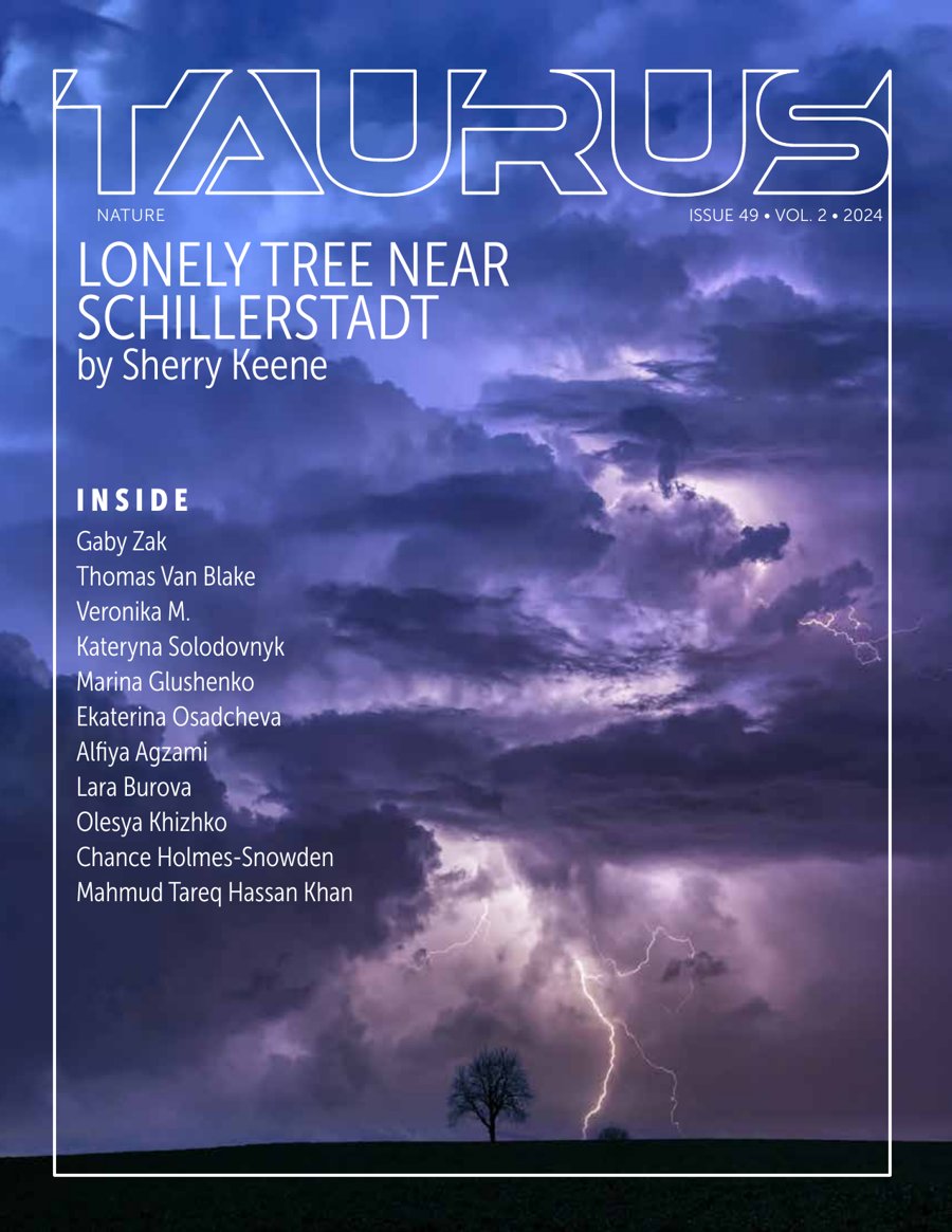 Taurus Nature Issue 49 front cover, Lonely Tree Near Schillerstadt by Sherry Keene, lightning over a solitary tree