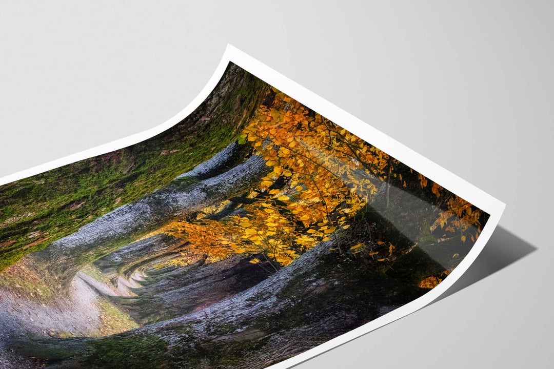 Archival Fine Art Paper presentation detail