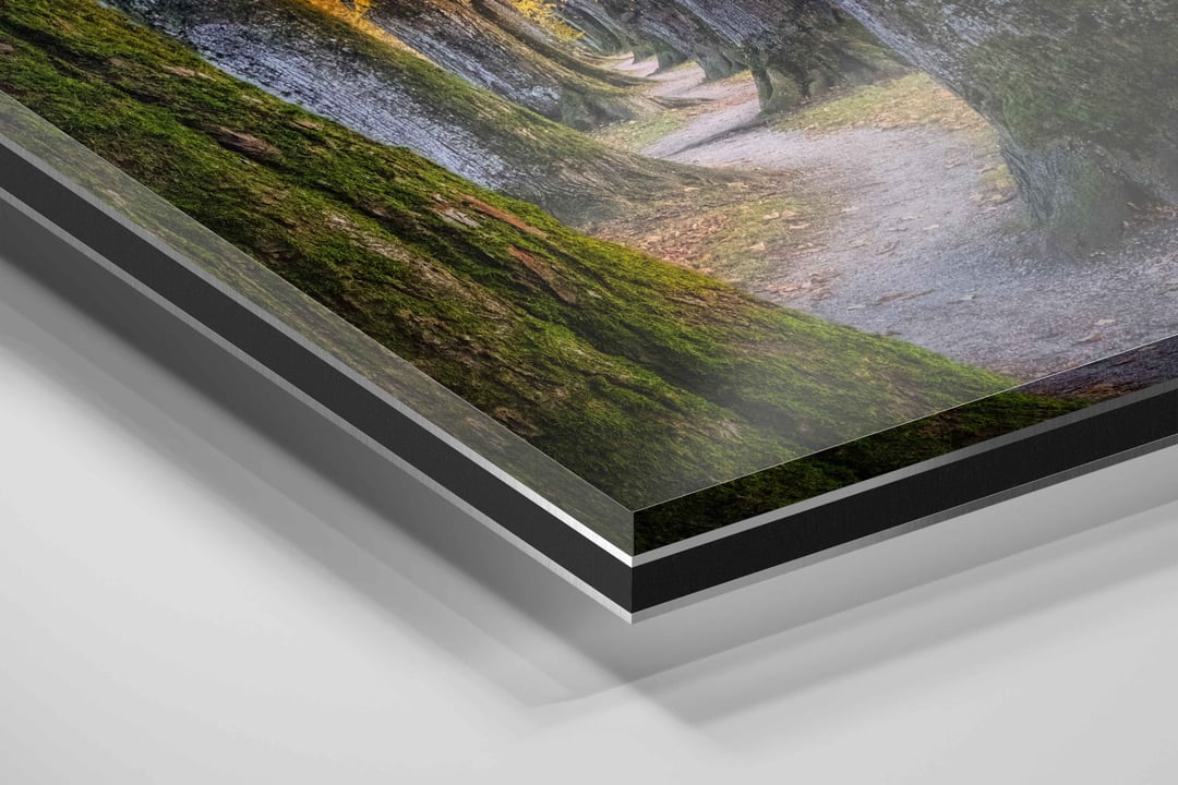 Alu-Dibond presentation detail