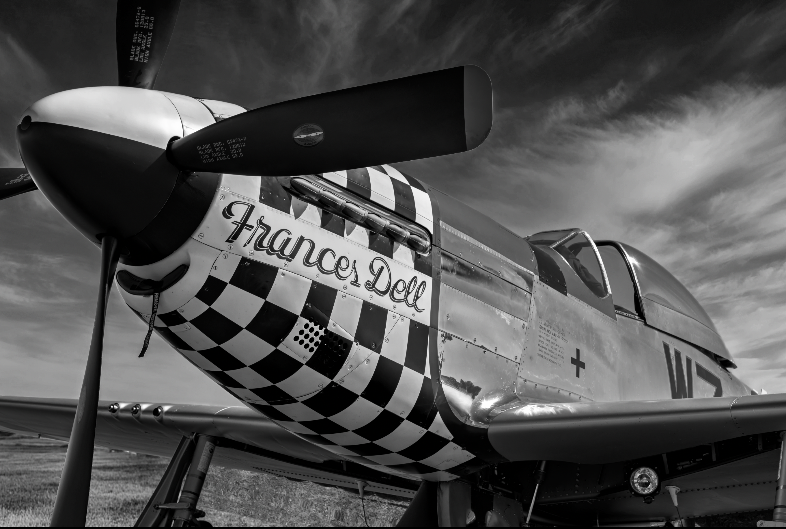 Frances Dell P51 Mustang Nose Art From the War Years