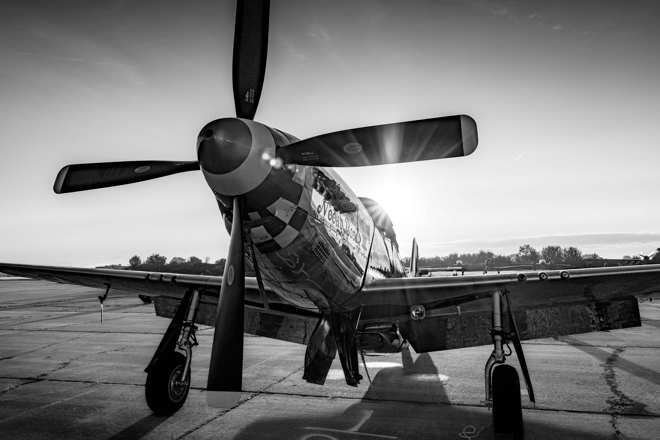 Black and White near silhouette of Nooky Booky on the tarmac waiting to take off