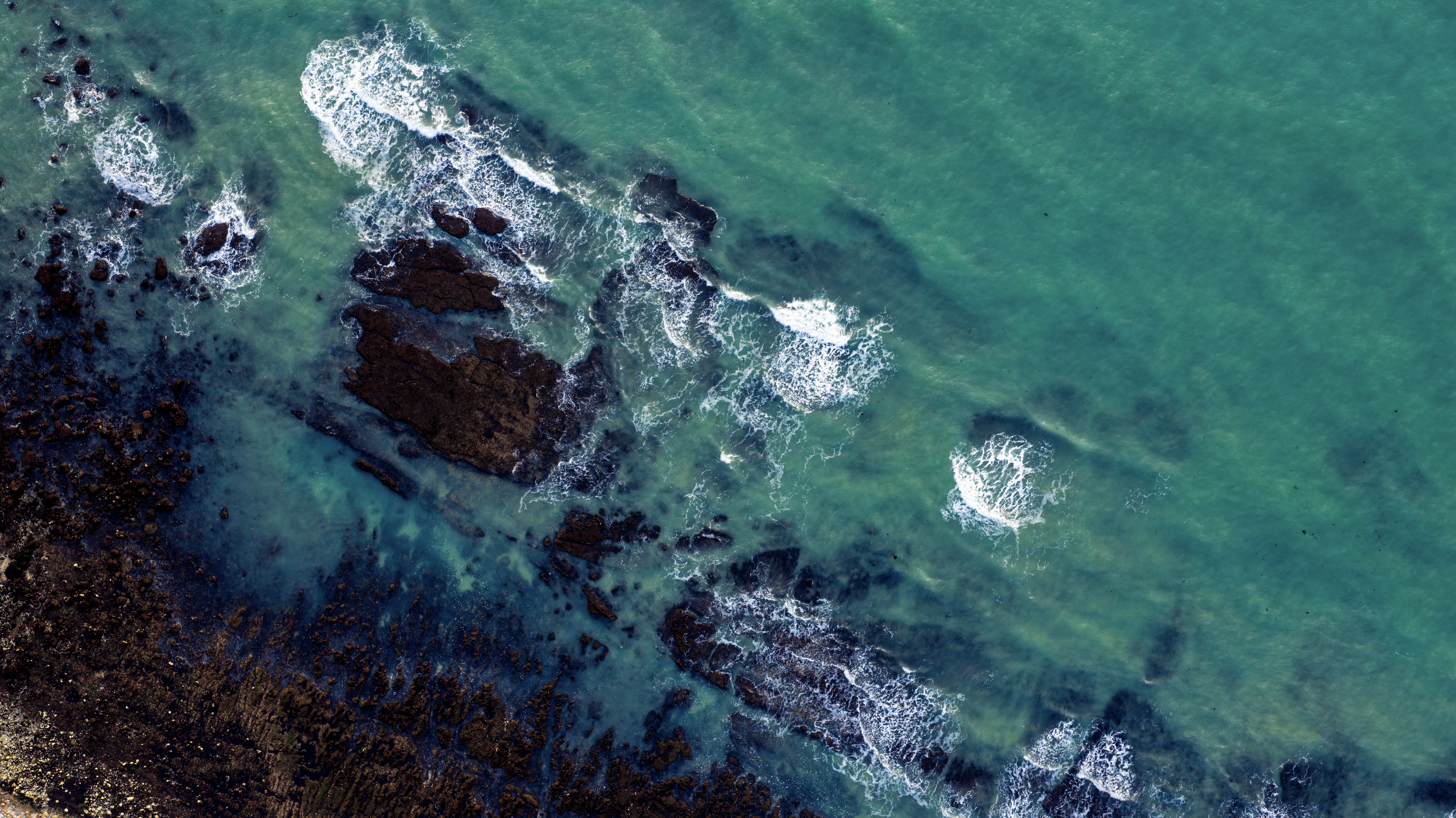 Tidewash