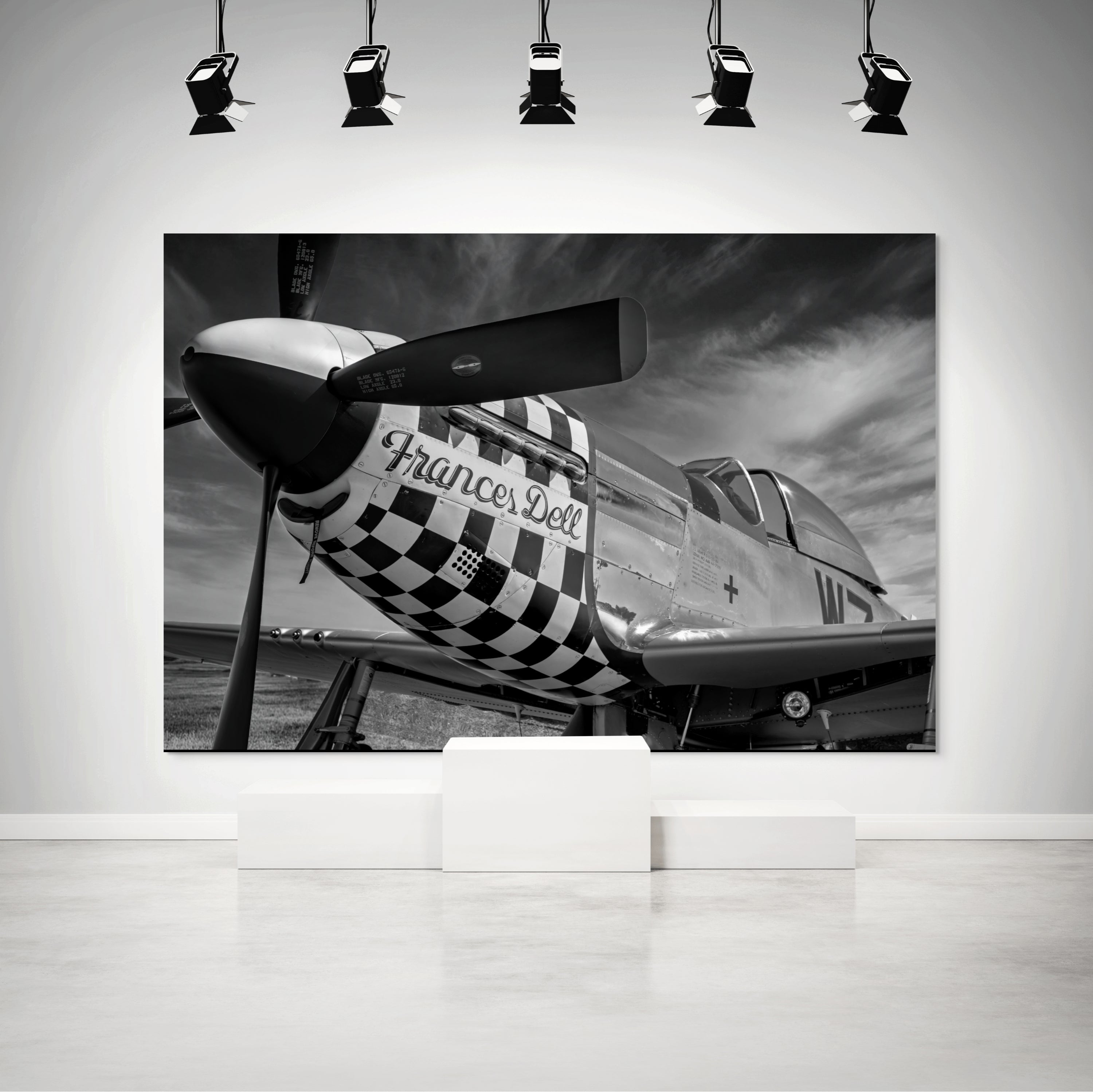 Frances Dell P51 Mustang Nose Art From the War Years